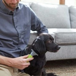 Frisco Soft Slicker Dog Brush, One Size & Frisco Deshedding Dog & Cat Brush 15 Frisco Soft Slicker Dog Brush, One Size & Frisco Deshedding Dog & Cat Brush -Pet Supplies Discount Store 276229 PT6. AC SS1800 V1616191886