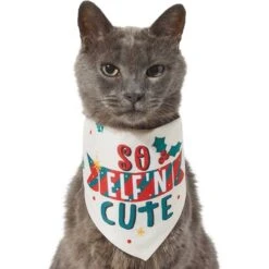 Frisco So Elf'n Cute Dog & Cat Bandana -Pet Supplies Discount Store 276276 PT2. AC SS1800 V1637682999