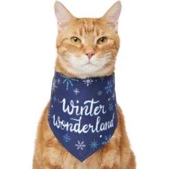 Frisco Winter Wonderland Dog & Cat Bandana -Pet Supplies Discount Store 276279 PT2. AC SS1800 V1637675218