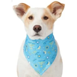 Frisco Festive Hanukkah Dog & Cat Bandana -Pet Supplies Discount Store 276282 PT3. AC SS1800 V1637673704