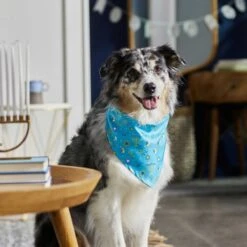 Frisco Festive Hanukkah Dog & Cat Bandana -Pet Supplies Discount Store 276282 PT5. AC SS1800 V1637653030