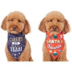 Frisco Santa's Favorite & Cheers To The New Year Dog & Cat Reversible Bandana -Pet Supplies Discount Store 276285 PT3. AC SS1800 V1637655160