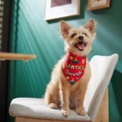 Frisco Santa's Favorite & Cheers To The New Year Dog & Cat Reversible Bandana -Pet Supplies Discount Store 276285 PT6. AC SS1800 V1637668015