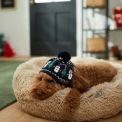 Frisco Jolly Snowman Dog & Cat Knitted Hat -Pet Supplies Discount Store 276303 PT8. AC SS1800 V1631300384