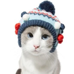 Frisco Pom Pom Dog & Cat Knitted Hat -Pet Supplies Discount Store 276307 PT3. AC SS1800 V1631303197
