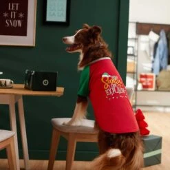 Frisco Santa I Can Explain Dog & Cat T-shirt -Pet Supplies Discount Store 276496 PT5. AC SS1800 V1637677020