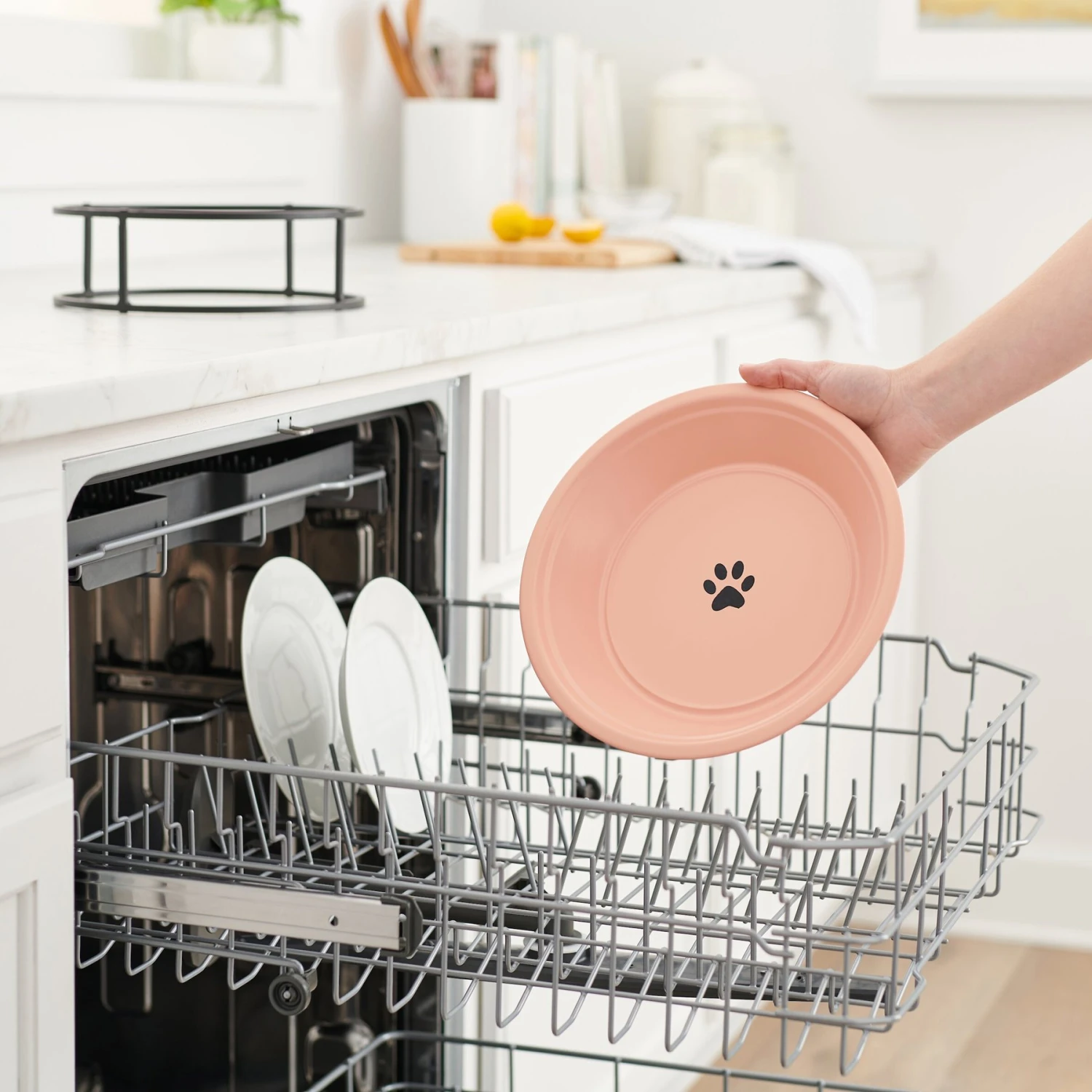 Frisco Elevated Non-skid Stainless Steel Dog & Cat Bowl 7 Frisco Elevated Non-skid Stainless Steel Dog & Cat Bowl - Image 5