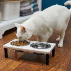 Frisco Marble Elevated Stainless Steel Double Diner Dog & Cat Bowls -Pet Supplies Discount Store 277559 PT3. AC SS1800 V1630347820