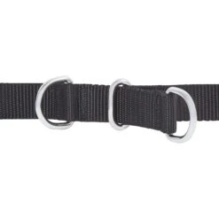 Frisco Basic No Pull Harness 9 Frisco Basic No Pull Harness -Pet Supplies Discount Store 277873 PT2. AC SS1800 V1629760100