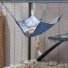 Frisco Herringbone Hanging Small Pet Hammock 1 Frisco Herringbone Hanging Small Pet Hammock -Pet Supplies Discount Store 278100 MAIN. AC SS1800 V1629465453