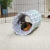 Frisco Geometric Small Pet Crinkle Plush Tunnel -Pet Supplies Discount Store 278125 MAIN. AC SS1800 V1629465653