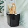 Frisco Top Entry Cat Litter Box, Extra Large 1 Frisco Top Entry Cat Litter Box, Extra Large -Pet Supplies Discount Store 278183 MAIN. AC SS1800 V1675279642