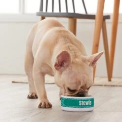 Frisco Personalized General Dog & Cat Small Dog Bowl -Pet Supplies Discount Store 278924 PT3. AC SS1800 V1629147374