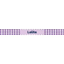 Frisco Personalized Gingham Plaid Dog Bowl -Pet Supplies Discount Store 278926 PT2. AC SS1800 V1629146836