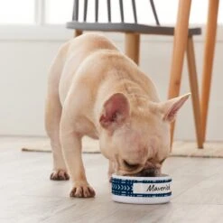 Frisco Personalized Mudcloth Small Dog & Cat Bowl 9 Frisco Personalized Mudcloth Small Dog & Cat Bowl -Pet Supplies Discount Store 278936 PT3. AC SS1800 V1629147692