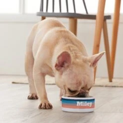 Frisco Personalized Watercolor Small Dog & Cat Bowl -Pet Supplies Discount Store 278944 PT3. AC SS1800 V1629147733