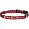 Frisco Buffalo Check Polyester Personalized Dog Collar 1 Frisco Buffalo Check Polyester Personalized Dog Collar -Pet Supplies Discount Store 280763 MAIN. AC SS1800 V1621274857