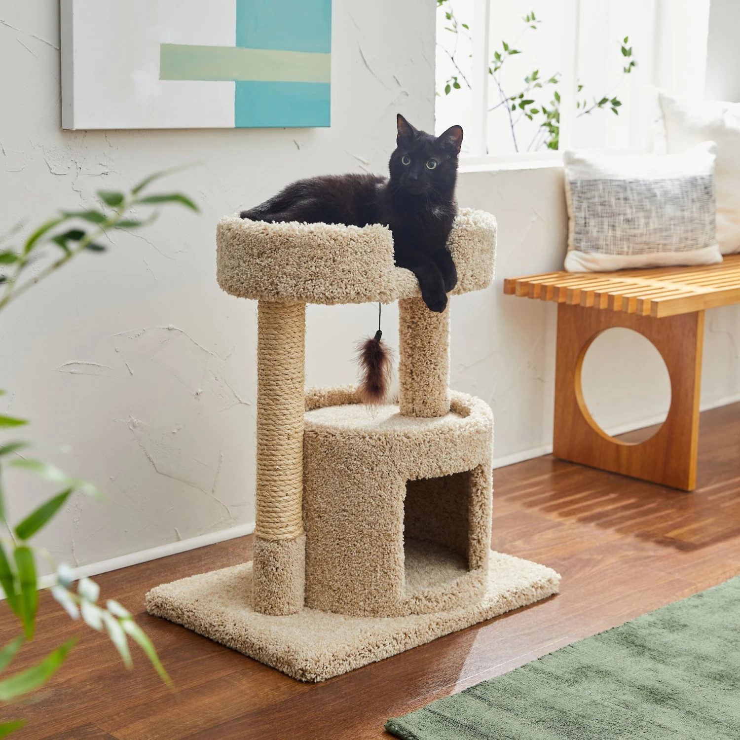 Frisco 27-in Real Carpet Cat Tree With Condo And Oval Perch 3 Frisco 27-in Real Carpet Cat Tree With Condo And Oval Perch