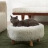Frisco Eyelash Fur Round Elevated Cat Bed -Pet Supplies Discount Store 285211 MAIN. AC SS1800 V1625009099