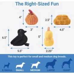 Frisco Fall Farmhouse Hide & Seek Puzzle Plush Squeaky Dog Toy -Pet Supplies Discount Store 285629 PT2. AC SS1800 V1636990881