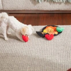 Frisco Fall Autumn Tree With Apples Interactive Plush Squeaky Dog Toy, 4 Count -Pet Supplies Discount Store 285633 PT3. AC SS1800 V1629725360