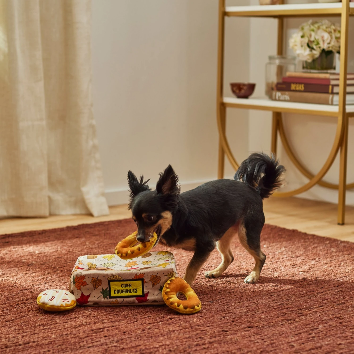 Frisco Fall Box Of Donuts Hide & Seek Puzzle Plush Squeaky Dog Toy 6 Frisco Fall Box Of Donuts Hide & Seek Puzzle Plush Squeaky Dog Toy - Image 4