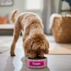 Frisco Personalized Plaid Ceramic Dog Bowl 11 Frisco Personalized Plaid Ceramic Dog Bowl -Pet Supplies Discount Store 287013 PT4. AC SS1800 V1639518088