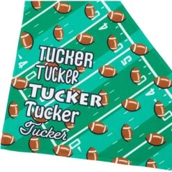 Frisco Football Personalized Dog & Cat Bandana -Pet Supplies Discount Store 287044 PT4. AC SS1800 V1623246178