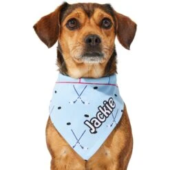 Frisco Ice Hockey Personalized Dog & Cat Bandana -Pet Supplies Discount Store 287048 PT6. AC SS1800 V1623246568