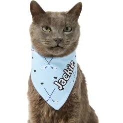 Frisco Ice Hockey Personalized Dog & Cat Bandana -Pet Supplies Discount Store 287048 PT7. AC SS1800 V1623246478