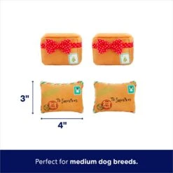 Frisco Holiday North Pole Mailbox Hide & Seek Puzzle Plush Squeaky Dog Toy -Pet Supplies Discount Store 287095 PT2. AC SS1800 V1695043914