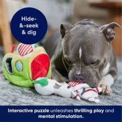 Frisco Holiday Rocket Ship Hide & Seek Puzzle Plush Squeaky Dog Toy 14 Frisco Holiday Rocket Ship Hide & Seek Puzzle Plush Squeaky Dog Toy -Pet Supplies Discount Store 287101 PT5. AC SS1800 V1695659151