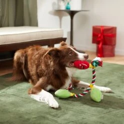 Frisco Holiday Lights Plush With Rope Squeaky Dog Toy -Pet Supplies Discount Store 287109 PT3. AC SS1800 V1632775707