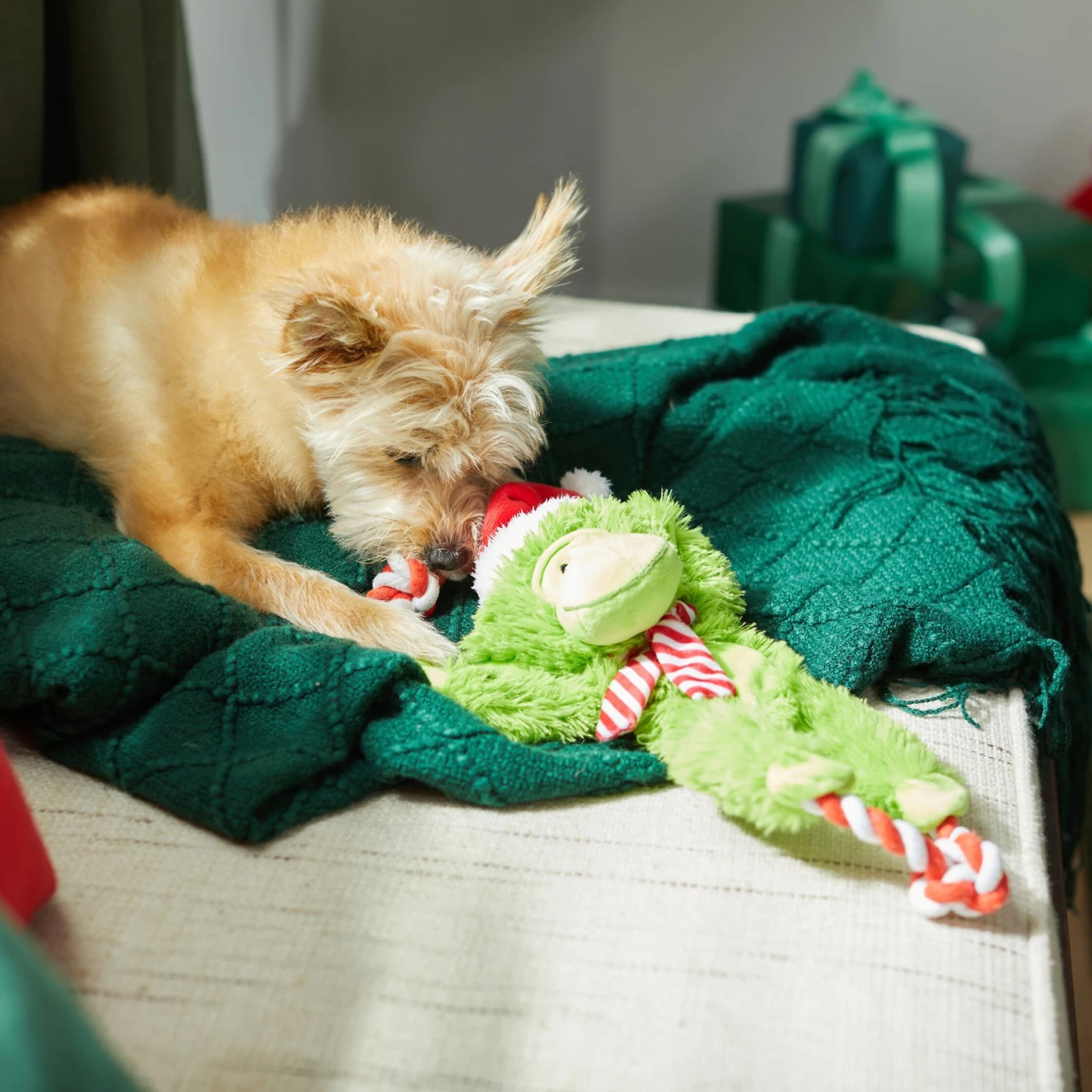 Frisco Holiday Monkey Plush With Rope Squeaky Dog Toy 6 Frisco Holiday Monkey Plush With Rope Squeaky Dog Toy - Image 4