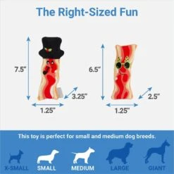 Frisco Holiday Bacon Plush Squeaky Dog Toy, 2 Count 6 Frisco Holiday Bacon Plush Squeaky Dog Toy, 2 Count -Pet Supplies Discount Store 287143 PT1. AC SS1800 V1637787992