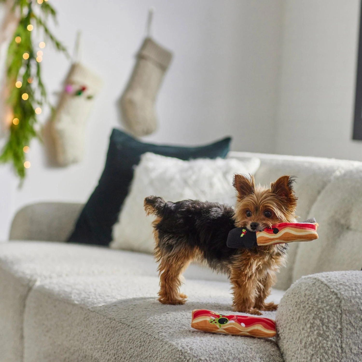 Frisco Holiday Bacon Plush Squeaky Dog Toy, 2 Count 5 Frisco Holiday Bacon Plush Squeaky Dog Toy, 2 Count - Image 3