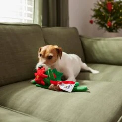 Frisco Flower Bouquet Plush Squeaky Dog Toy -Pet Supplies Discount Store 287163 PT3. AC SS1800 V1632776821