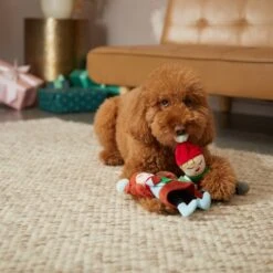 Frisco Holiday Carolers Plush Squeaky Dog Toy, 3 Count 7 Frisco Holiday Carolers Plush Squeaky Dog Toy, 3 Count -Pet Supplies Discount Store 287169 PT3. AC SS1800 V1632774907