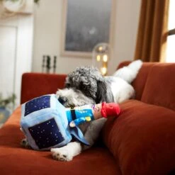 Frisco Nutcracker-in-a-Box Plush Squeaky Dog Toy -Pet Supplies Discount Store 287173 PT3. AC SS1800 V1632773316