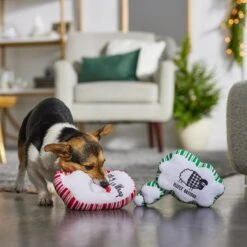 Frisco Holiday Thought Bubble Plush Squeaky Dog Toy, 2 Count -Pet Supplies Discount Store 287195 PT3. AC SS1800 V1632772983