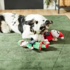 Frisco Holiday Bad Santa & Elf Plush Squeaky Dog Toy -Pet Supplies Discount Store 287223 PT3. AC SS1800 V1632773570