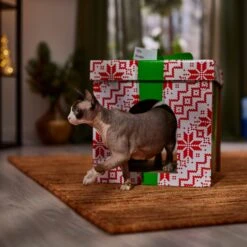 Frisco Holiday Gift Box Cardboard Cat House -Pet Supplies Discount Store 287291 PT4. AC SS1800 V1695045716