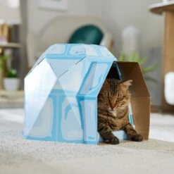 Frisco Igloo Cardboard Cat House -Pet Supplies Discount Store 287293 PT4. AC SS1800 V1692035193