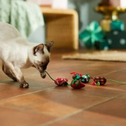 Frisco Holiday Mice Cat Toy With Catnip, 5 Count 8 Frisco Holiday Mice Cat Toy With Catnip, 5 Count -Pet Supplies Discount Store 287307 PT3. AC SS1800 V1632773326