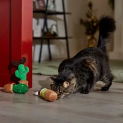Frisco Holiday Cactus Plush Cat Toy With Catnip, 3 Count 8 Frisco Holiday Cactus Plush Cat Toy With Catnip, 3 Count -Pet Supplies Discount Store 287329 PT3. AC SS1800 V1661874421