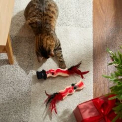 Frisco Holiday Bacon Plush Cat Toy With Catnip, 2 Count -Pet Supplies Discount Store 287377 PT3. AC SS1800 V1632773555