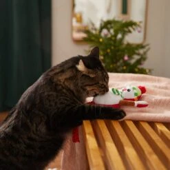 Frisco Naughty Or Nice Snowman Reversible Plush Cat Toy With Catnip 9 Frisco Naughty Or Nice Snowman Reversible Plush Cat Toy With Catnip -Pet Supplies Discount Store 287387 PT3. AC SS1800 V1632774541