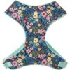 Frisco Fashion Over-The-Head Harness, Tropical Floral 2 Frisco Fashion Over-The-Head Harness, Tropical Floral -Pet Supplies Discount Store 287476 MAIN. AC SS1800 V1632317233
