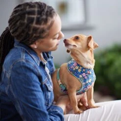 Frisco Fashion Over-The-Head Harness, Tropical Floral -Pet Supplies Discount Store 287476 PT8. AC SS1800 V1632316953