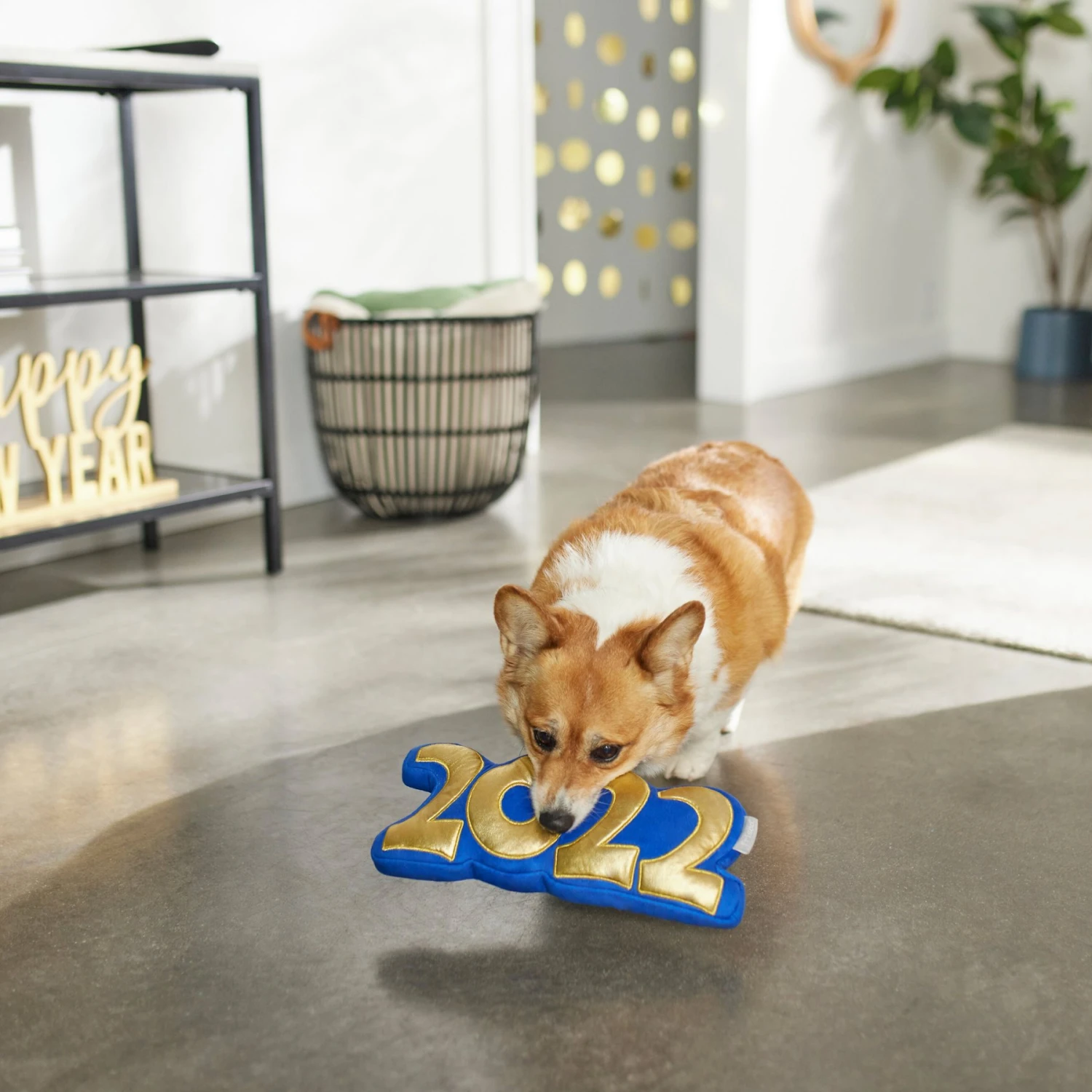 Frisco New Year's Eve 2022 Plush Squeaky Dog Toy 6 Frisco New Year's Eve 2022 Plush Squeaky Dog Toy - Image 4